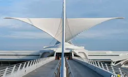 پرندگان شکاری ومقایسه آن ها با آثاربزرگ معماران