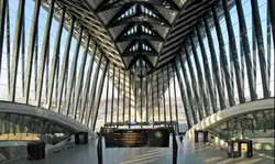 پرندگان شکاری ومقایسه آن ها با آثاربزرگ معماران