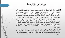 پرندگان شکاری ومقایسه آن ها با آثاربزرگ معماران