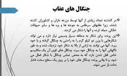 پرندگان شکاری ومقایسه آن ها با آثاربزرگ معماران