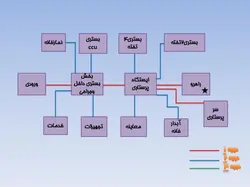 نمونه دیاگرام ، نمودار ، ریزفضا ، پلان و برنامه فیزیکی بیمارستان و درمانگاه (599 اسلاید )