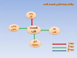 نمونه دیاگرام ، نمودار ، ریزفضا ، پلان و برنامه فیزیکی بیمارستان و درمانگاه (599 اسلاید )