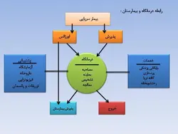 نمونه دیاگرام ، نمودار ، ریزفضا ، پلان و برنامه فیزیکی بیمارستان و درمانگاه (599 اسلاید )