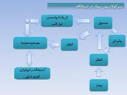 نمونه دیاگرام ، نمودار ، ریزفضا ، پلان و برنامه فیزیکی بیمارستان و درمانگاه (599 اسلاید )
