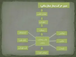 نمونه دیاگرام ، نمودار ، ریزفضا ، پلان و برنامه فیزیکی بیمارستان و درمانگاه (599 اسلاید )