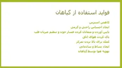 گیاهان در معماری