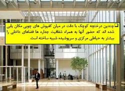 کتابخانه مورگان