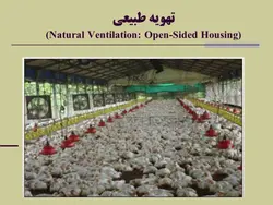 اجرای ساختمان و تجهیزات مرغداری