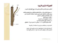 انواع جرثقیل ها همراه با مبحث ایمنی جرثقیل(5 پاورپوینت )