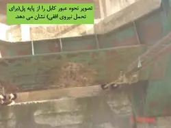 پل قدیمی غازیان انزلی