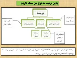 فناوری های نوین ساختمانی وصنعتی سازی