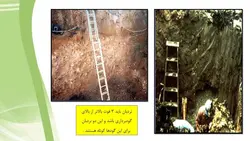 ایمنی نردبان ( 103 اسلاید )