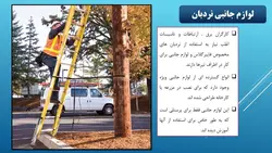 اموزش جامع ایمنی نردبان