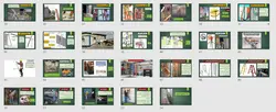 پنج مرحله ایمنی نردبان