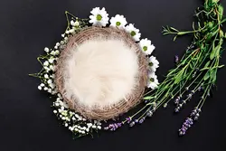 13 عدد بک گراند تک لایه دکور نوزاد با کیفیت 300dpi