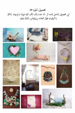 13 عدد بک تک لایه نوزاد