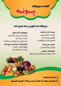 تراکت فروشگاه کلبه سبزیجات ،فروش سبزیجات بسته بندی شده