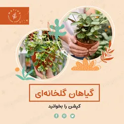 مجموعه قالب لایه باز پست اینستاگرام مخصوص گیاهان گلخانه‌ای