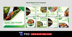 دانلود طرح آماده لایه باز بنر پست اینستاگرام در 9 طرح مختلف با تصاویر با کیفیت با تم رنگی سبز و موضوع سبزیجات