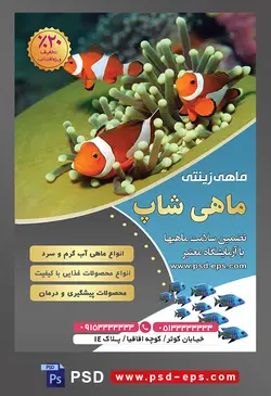 طرح آماده تراکت لایه باز یا پوستر لایه باز پرورش ماهی زینتی با تصویر با مضمون سه دلقک ماهی در میان گیاهان دریایی