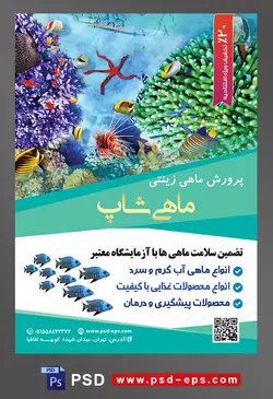طرح آماده لایه باز پوستر یا تراکت پرورش ماهی های زینتی با محوریت تصویر ستاره دریایی و ماهی تای کوچک در کنار خزه ها و گیاهان دریایی