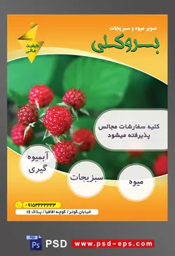 طرح آماده لایه باز پوستر یا تراکت میوه فروشی و سوپر میوه و سبزیجات با محوریت تصویر تمشک قرمز بر روی شاخه درخت پر برگ