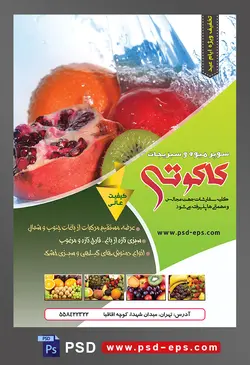 طرح آماده لایه باز پوستر یا تراکت سوپر میوه و سبزیجات با محوریت تصویر انار و پرتقال و سیب غرق در آب