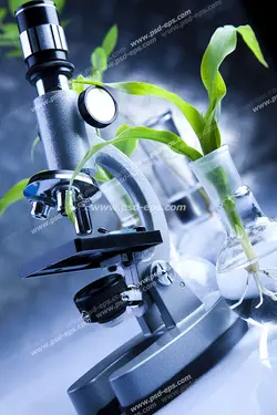 عکس با کیفیت تبلیغاتی میکروسکوپ و گیاه قرار گرفته در بالن