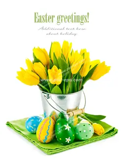 عکس با کیفیت تبلیغاتی لاله های زیبا در سطل فلزی