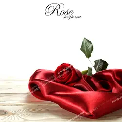 عکس با کیفیت تبلیغاتی گل رز بر روی پارچه ساتن قرمز
