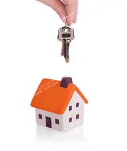 عکس با کیفیت تبلیغاتی دو عدد کلید گرفته شده بالای ماکت خانه