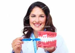 عکس با کیفیت تبلیغاتی خانم در حال آموزش نحوه صحیح مسواک زدن با مسواک و ماکت دندان