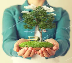 عکس با کیفیت تبلیغاتی تکه ای از زمین با درخت و یک نیمکت زیر آن در دست مرد