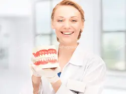 عکس با کیفیت تبلیغاتی ماکت دندان مصنوعی در دست های پزشک زن
