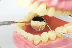 عکس با کیفیت تبلیغاتی نمایش معاینه از روی ماکت توسط آینه و اکسکویتور