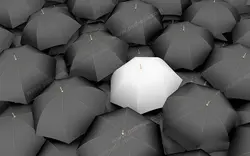 عکس با کیفیت تبلیغاتی یک چتر سفید در بین چتر های مشکی