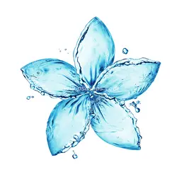 عکس با کیفیت تبلیغاتی گل پنج برگ زیبا از جنس آب