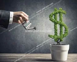 عکس با کیفیت تبلیغاتی مرد در حال آب دادن به کاکتوس شکل دلار
