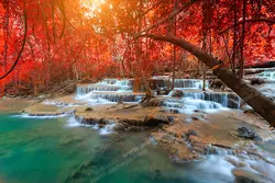 عکس با کیفیت تبلیغاتی منظره غروب خورشید از میان درختان قرمز پوش پاییزی سایه افکنده به روی رودخانه