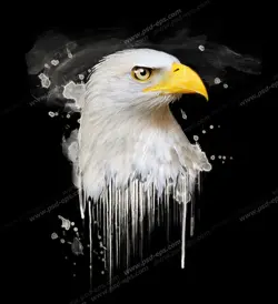 عکس با کیفیت تبلیغات نقاشی عقاب با بک گراند مشکی