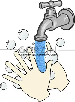 3 عدد عکس شستن دست کارتونی و دوربری شده