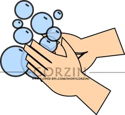 3 عدد عکس شستن دست کارتونی و دوربری شده
