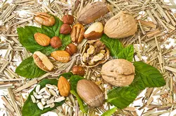 عکس با کیفیت آجیل های مختلف مانند گردو ، بادام زمینی ، بادام درختی و تخمه آفتابگردان به همراه برگ نعنا قرار گرفته بر روی سطحی حاوی تکه های خرد شده حصیری