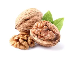 عکس با کیفیت گردو و مغز گردو در کنار برگ درخت گردو بر روی زمینه سفید