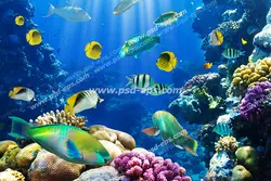 عکس با کیفیت نمایی زیبا از درخشش نور آفتاب درون آب های دریای پر از ماهی در بین صخره های مرجانی مناسب آسمان مجازی آکواریوم