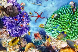 عکس با کیفیت مرجان های قیطانی سبز و بنفش رنگ در کف دریا با ماهی های رنگارنگ در اطراف آنها مناسب آسمان مجازی آکواریوم