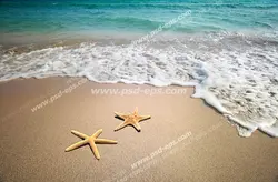 عکس با کیفیت ساحل ماسه ای دریا با موج آرام آب د دو ستاره دریایی زرد بر روی ماسه ها