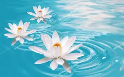 عکس با کیفیت آسمان مجازی آکواریوم با نمایی از گل های نیلوفر آبی سفید رنگ در میان آب های زلال نیلگون