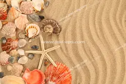 عکس با کیفیت آسمان مجازی آکواریوم با ساحل شنی پر از ستاره دریایی و صدف های دریایی رنگارنگ