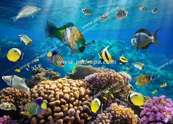 عکس با کیفیت مرجان های مغزی شکل و ماهی های رنگارنگ در دل دریا مناسب آسمان مجازی آکواریوم